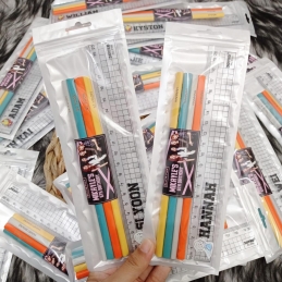 Pencil and Ruler set - Set of 12