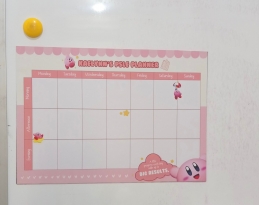 Magnetic PSLE Planner