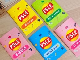 PSLE Chips Bag Lays - Set of 12